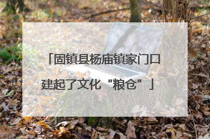 固镇县杨庙镇家门口建起了文化“粮仓”