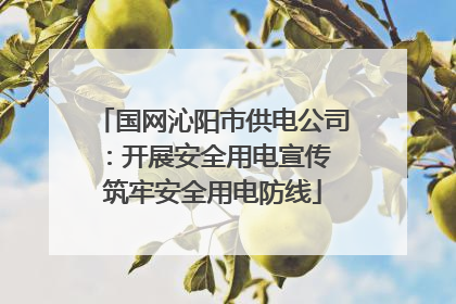 国网沁阳市供电公司：开展安全用电宣传 筑牢安全用电防线