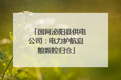 国网泌阳县供电公司：电力护航夏粮颗粒归仓