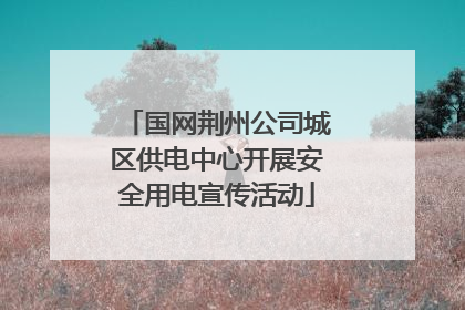 国网荆州公司城区供电中心开展安全用电宣传活动