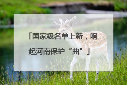 国家级名单上新，响起河南保护“曲”