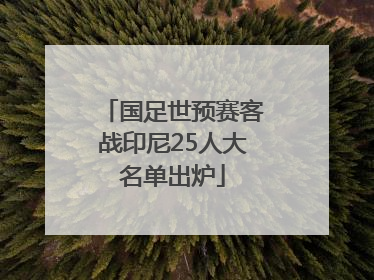 国足世预赛客战印尼25人大名单出炉