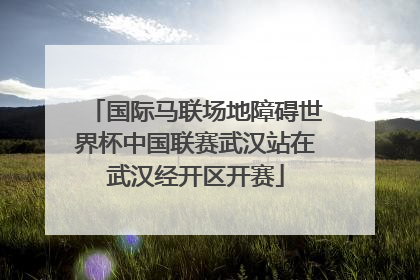 国际马联场地障碍世界杯中国联赛武汉站在武汉经开区开赛