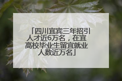 四川宜宾三年招引人才近6万名，在宜高校毕业生留宜就业人数近万名