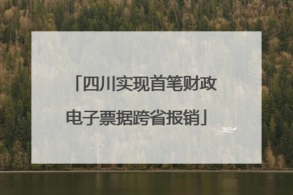 四川实现首笔财政电子票据跨省报销