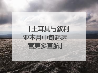 土耳其与叙利亚本月中旬起运营更多直航