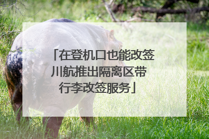 在登机口也能改签 川航推出隔离区带行李改签服务