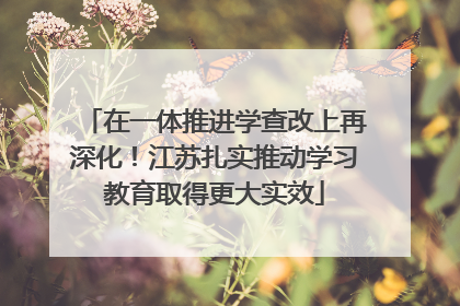 在一体推进学查改上再深化！江苏扎实推动学习教育取得更大实效