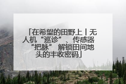 在希望的田野上丨无人机“巡诊”、传感器“把脉” 解锁田间地头的丰收密码