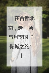 在首都北京，赴一场与月季的“倾城之约”
