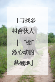 寻找乡村合伙人｜“棚”然心动的盐碱地