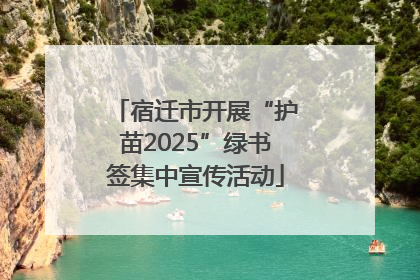 宿迁市开展“护苗2025”绿书签集中宣传活动