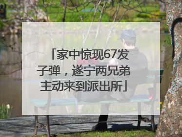 家中惊现67发子弹，遂宁两兄弟主动来到派出所