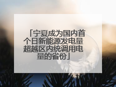 宁夏成为国内首个日新能源发电量超越区内统调用电量的省份