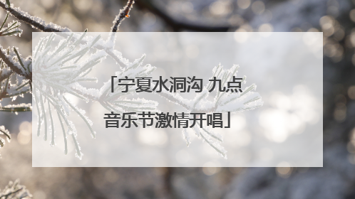 宁夏水洞沟 九点音乐节激情开唱
