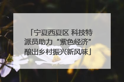 宁夏西夏区 科技特派员助力“紫色经济”酿出乡村振兴新风味
