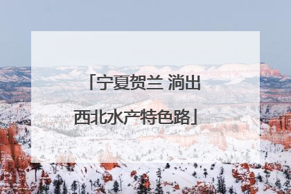 宁夏贺兰 淌出西北水产特色路