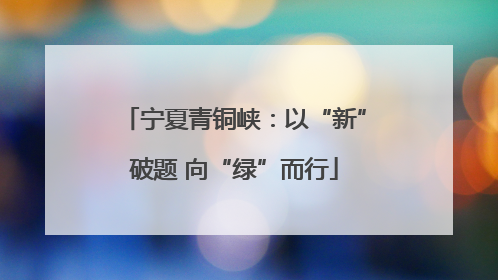 宁夏青铜峡：以“新”破题 向“绿”而行