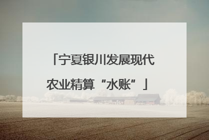 宁夏银川发展现代农业精算“水账”