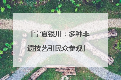 宁夏银川：多种非遗技艺引民众参观