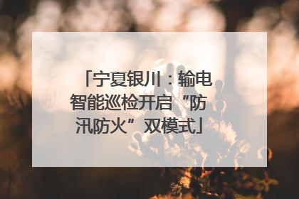 宁夏银川：输电智能巡检开启“防汛防火”双模式