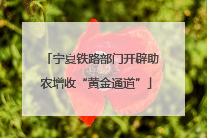宁夏铁路部门开辟助农增收“黄金通道”