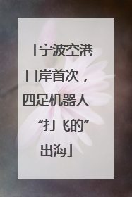 宁波空港口岸首次，四足机器人“打飞的”出海
