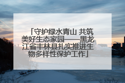 守护绿水青山 共筑美好生态家园——黑龙江省丰林县扎实推进生物多样性保护工作