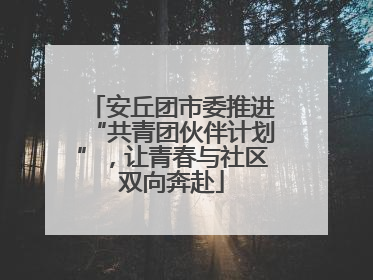 安丘团市委推进“共青团伙伴计划”，让青春与社区双向奔赴