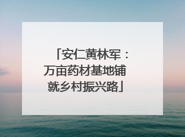 安仁黄林军：万亩药材基地铺就乡村振兴路