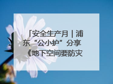 安全生产月｜浦东“公小护”分享《地下空间要防灾，守护平安有我在》安全谣