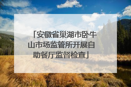 安徽省巢湖市卧牛山市场监管所开展自助餐厅监督检查