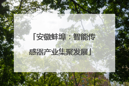 安徽蚌埠：智能传感器产业集聚发展
