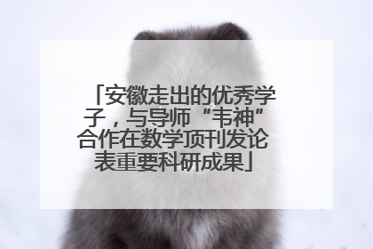 安徽走出的优秀学子，与导师“韦神”合作在数学顶刊发论表重要科研成果