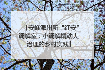 安峰派出所“红安”调解室：小调解撬动大治理的乡村实践