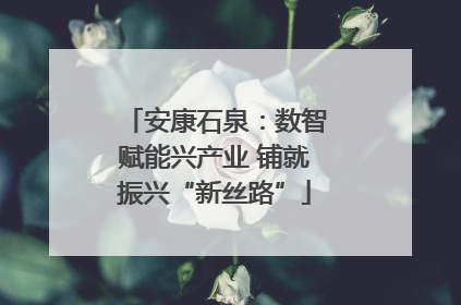 安康石泉：数智赋能兴产业 铺就振兴“新丝路”