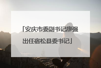 安庆市委副书记廖强出任宿松县委书记
