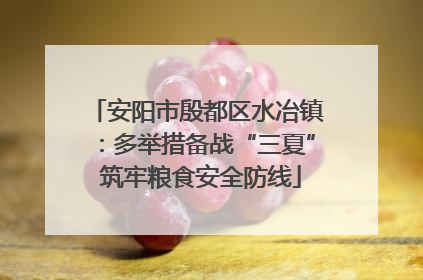安阳市殷都区水冶镇：多举措备战“三夏” 筑牢粮食安全防线
