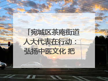 宛城区茶庵街道人大代表在行动：弘扬中医文化 把脉基层健康