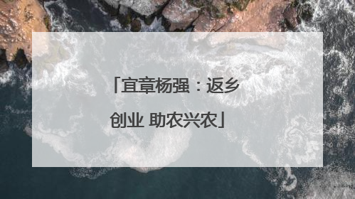 宜章杨强：返乡创业 助农兴农