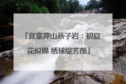 宜章莽山燕子岩：初夏花似锦 绣球绽芳颜