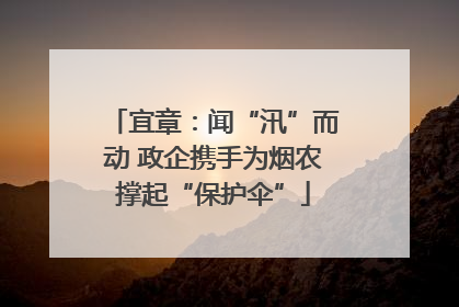 宜章：闻“汛”而动 政企携手为烟农撑起“保护伞”