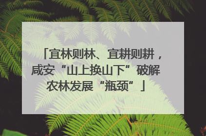 宜林则林、宜耕则耕，咸安“山上换山下”破解农林发展“瓶颈”