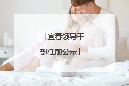 宜春领导干部任前公示