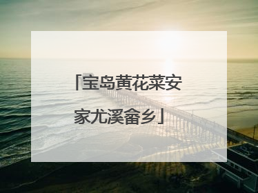 宝岛黄花菜安家尤溪畲乡