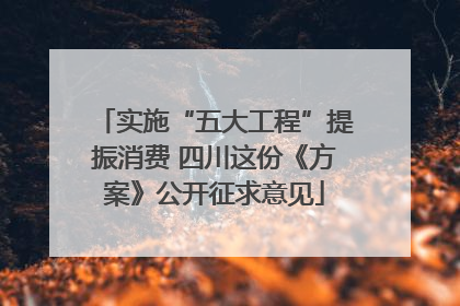 实施“五大工程”提振消费 四川这份《方案》公开征求意见