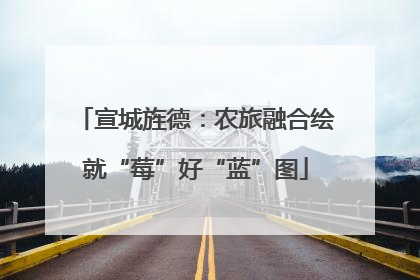 宣城旌德：农旅融合绘就“莓”好“蓝”图
