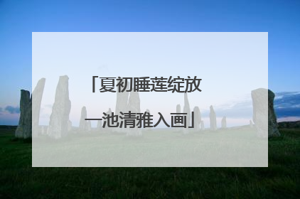 夏初睡莲绽放 一池清雅入画