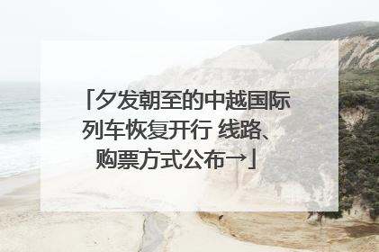 夕发朝至的中越国际列车恢复开行 线路、购票方式公布→