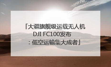 大疆旗舰级运载无人机DJI FC100发布：低空运输集大成者